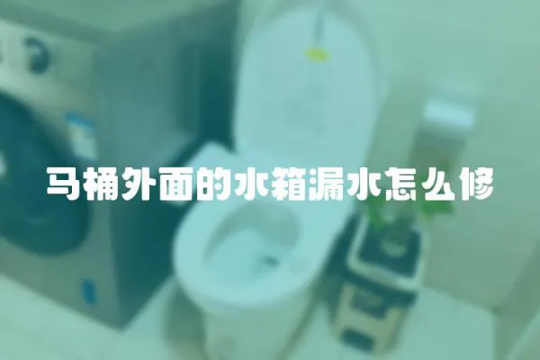馬桶外面的水箱漏水怎么修
