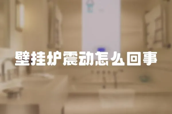 壁掛爐震動(dòng)怎么回事