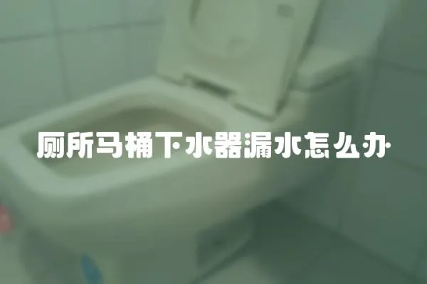 廁所馬桶下水器漏水怎么辦
