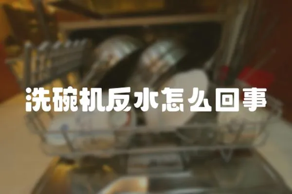 洗碗機反水怎么回事