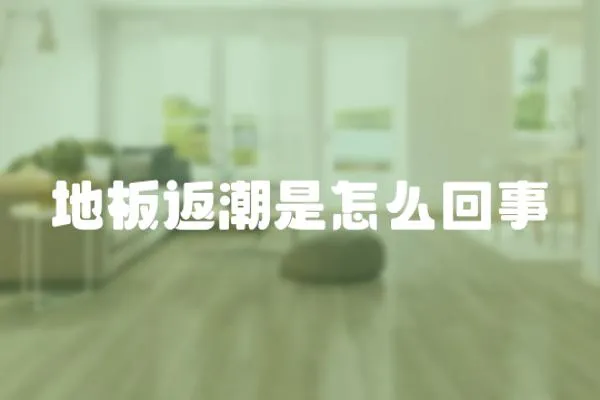 地板返潮是怎么回事