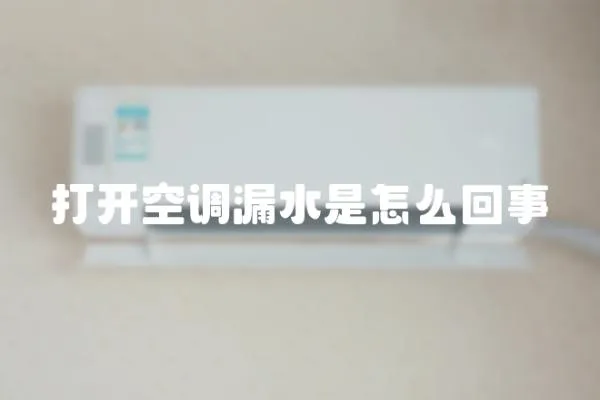 打開空調漏水是怎么回事