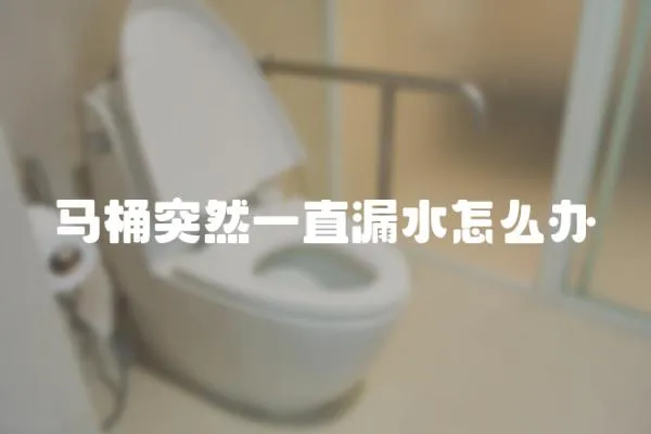 馬桶突然一直漏水怎么辦