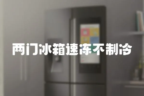 兩門冰箱速凍不制冷