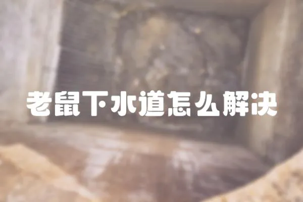 老鼠下水道怎么解決