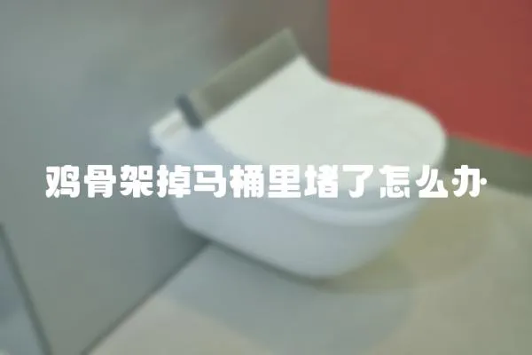 鸡骨架掉马桶里堵了怎么办