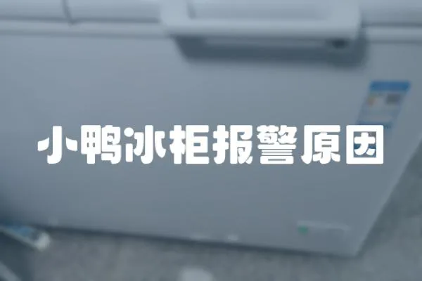 小鴨冰柜報警原因