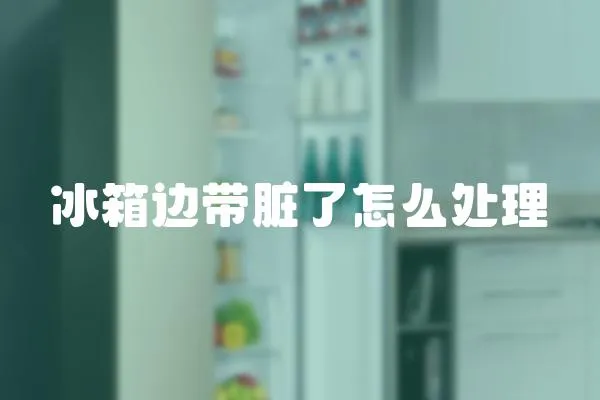冰箱邊帶臟了怎么處理