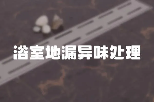 浴室地漏異味處理