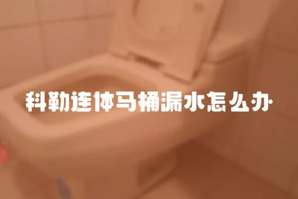 科勒连体马桶漏水怎么办