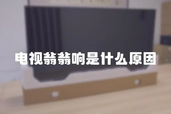 電視翁翁響是什么原因