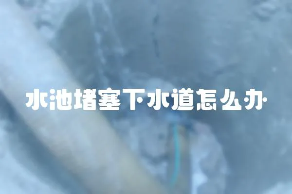 水池堵塞下水道怎么辦