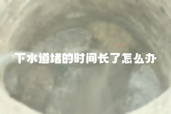 下水道堵的時間長了怎么辦