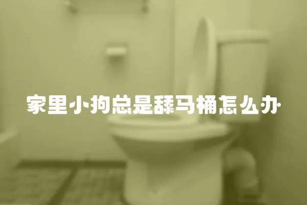 家里小狗總是舔馬桶怎么辦