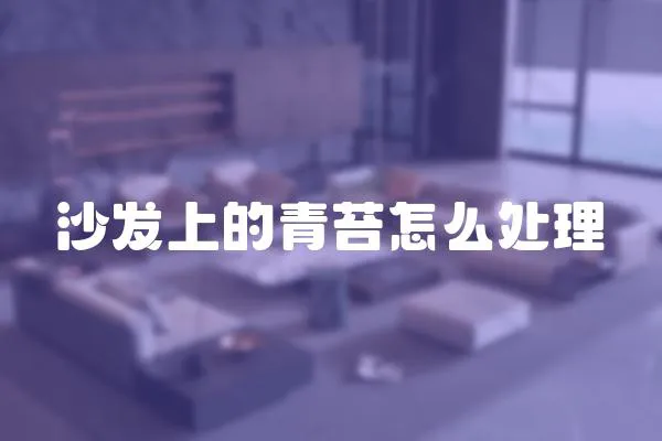 沙發上的青苔怎么處理