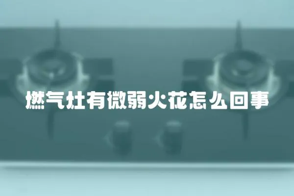 燃?xì)庠钣形⑷趸鸹ㄔ趺椿厥?></a></div>
                    </div>
                    <div   id=