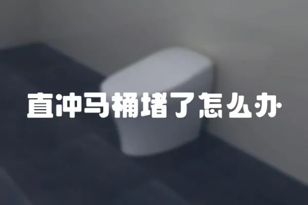 直沖馬桶堵了怎么辦