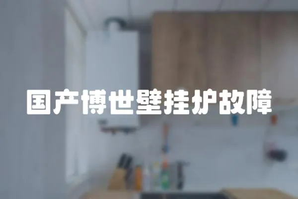 國產博世壁掛爐故障