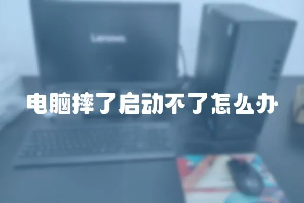 電腦摔了啟動不了怎么辦