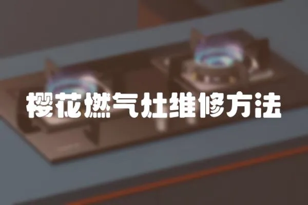 櫻花燃?xì)庠罹S修方法