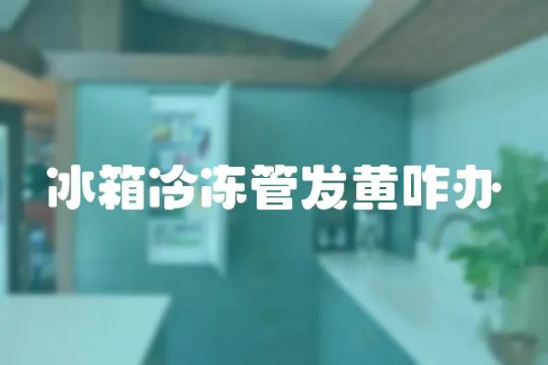 冰箱冷凍管發黃咋辦