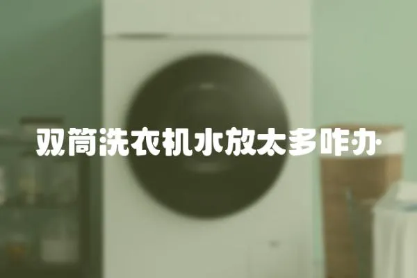 雙筒洗衣機水放太多咋辦
