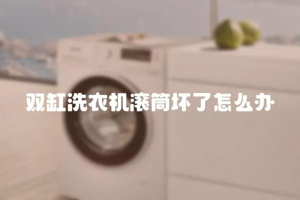 雙缸洗衣機(jī)滾筒壞了怎么辦