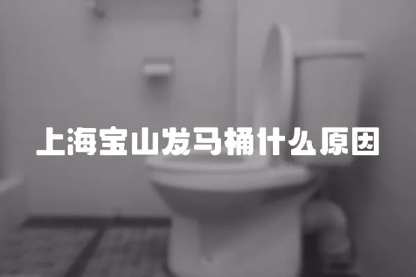 上海寶山發(fā)馬桶什么原因