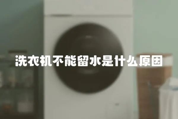 洗衣機不能留水是什么原因