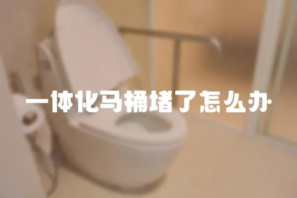 一體化馬桶堵了怎么辦