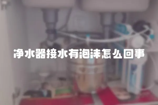 净水器接水有泡沫怎么回事