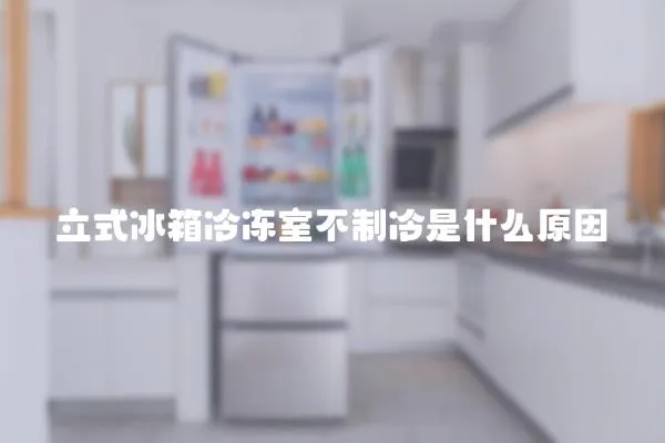 立式冰箱冷凍室不制冷是什么原因