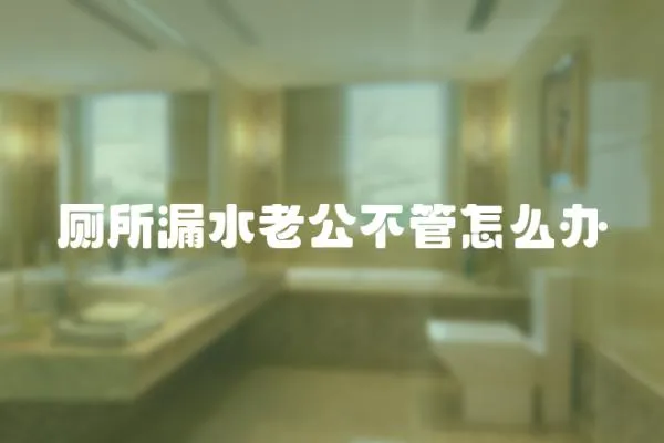 廁所漏水老公不管怎么辦
