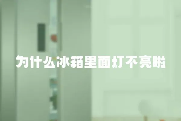 為什么冰箱里面燈不亮啦