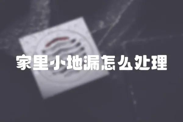 家里小地漏怎么處理