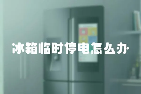 冰箱臨時停電怎么辦
