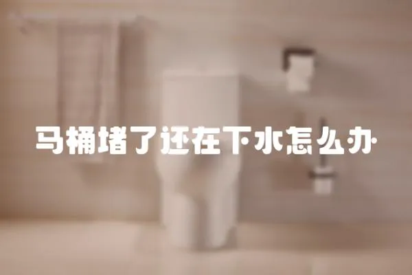 馬桶堵了還在下水怎么辦