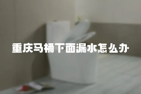 重慶馬桶下面漏水怎么辦