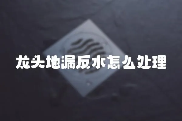 龍頭地漏反水怎么處理
