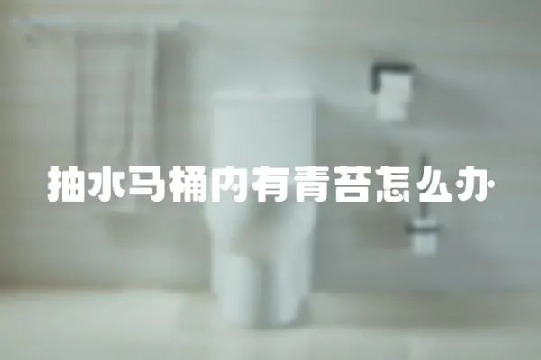 抽水馬桶內有青苔怎么辦