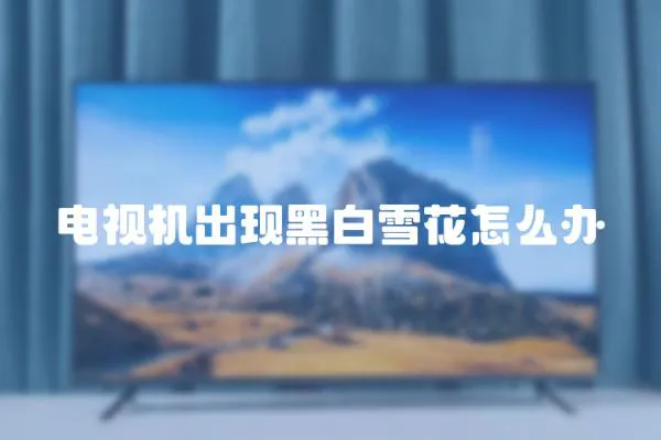 電視機出現黑白雪花怎么辦