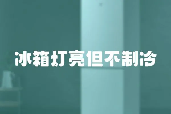 冰箱燈亮但不制冷