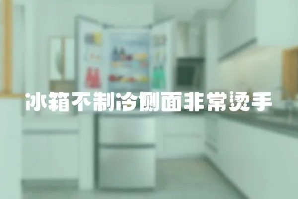 冰箱不制冷側(cè)面非常燙手