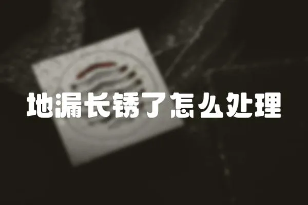 地漏長(zhǎng)銹了怎么處理