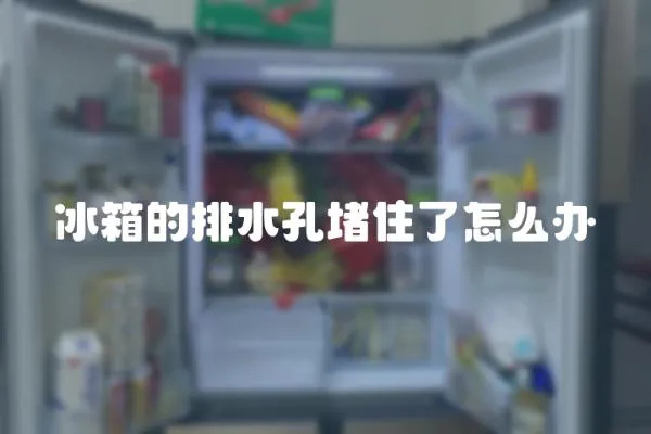 冰箱的排水孔堵住了怎么辦