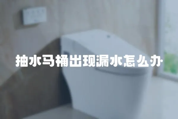 抽水馬桶出現(xiàn)漏水怎么辦