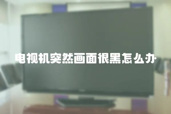 電視機突然畫面很黑怎么辦