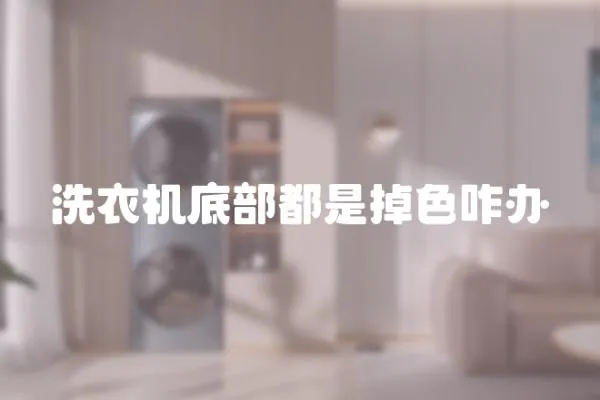 洗衣機(jī)底部都是掉色咋辦