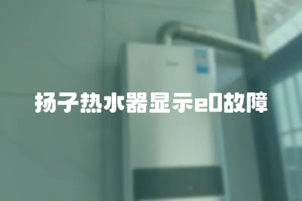 揚子熱水器顯示e0故障