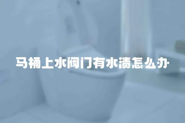 馬桶上水閥門有水漬怎么辦